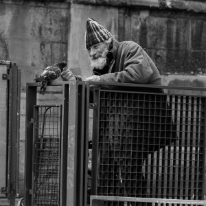 Giuseppe, qui aime tant ses pigeons. Ce sont eux qui lui rendent le sourire dans les pires moments de solitude.