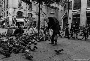 _MG_4812-1