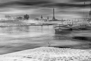 _MG_7521