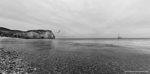 _MG_1093-1