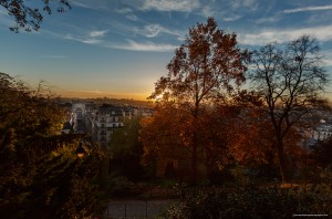 _MG_53291