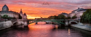 _MG_4846
