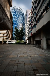 _MG_7900-1