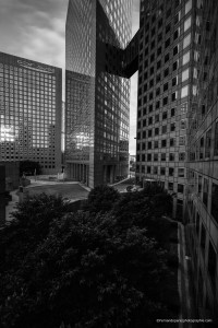 _MG_9263-1