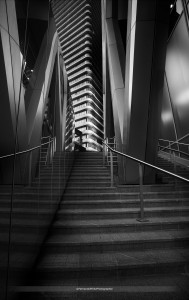 _W7A0373