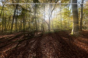 _MG_4734-como-objeto-inteligente-1