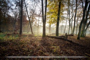 _MG_4769