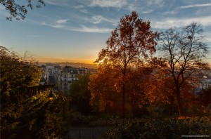_MG_5329-1