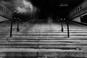 _W7A0749-como-objeto-inteligente-1