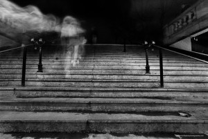 _W7A0772-1