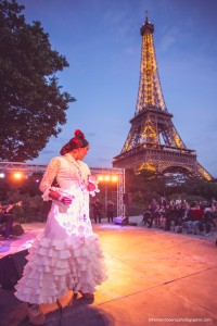 Exposicion_de-Andalucia_Paris_2088