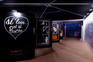 Exposicion_de-Andalucia_Paris_2109