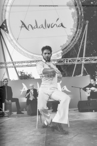 Exposicion_de-Andalucia_Paris_2295