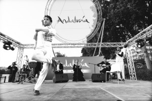 Exposicion_de-Andalucia_Paris_2316