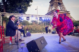 Exposicion_de-Andalucia_Paris__3495