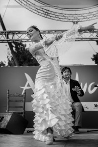 Exposicion_de-Andalucia_Paris__3606