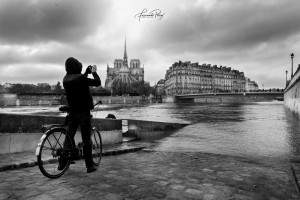 FP5D1363
