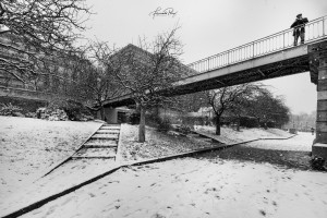 FP5D8230