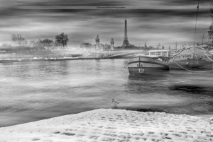 _MG_7521
